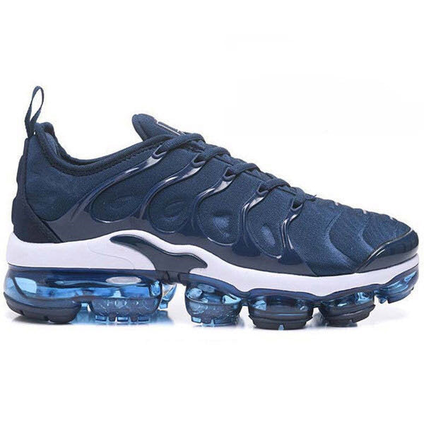 Vapormax Plus Blue Running Shoes